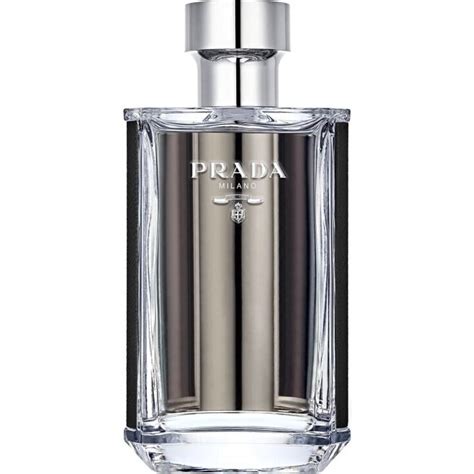 prada l'homme size|Prada l'homme reviews.